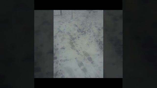 Ведьмин зов, усиление силы обряда смотреть онлайн