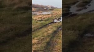 suzuki grand vitara тест драйв 1