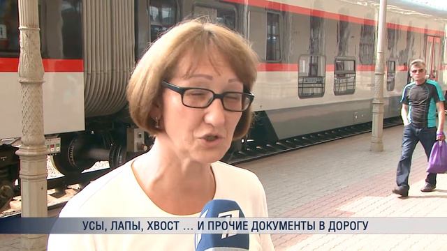 ПБК: Литовское время 28.07.16 Путешествие четвероногих в общественном транспорте.