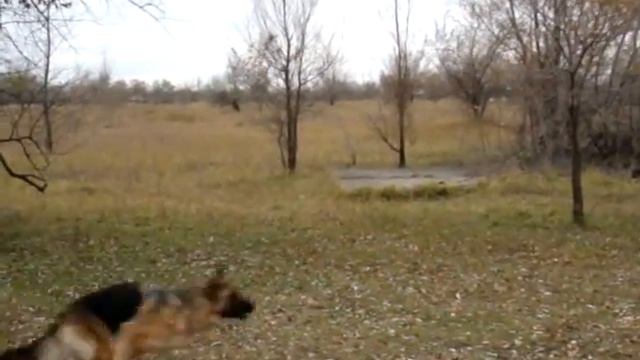 MOV08718 смотреть онлайн