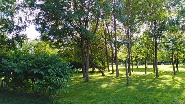 Парк 300-летия Санкт-Петербурга - Parque del 300 aniversario San Petersburgo смотреть онлайн