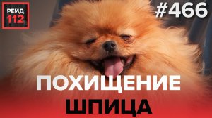 ТЕЛО В КВАРТИРЕ | УКРАЛИ СОБАКУ | РЕЙД 112. ВЫПУСК 18