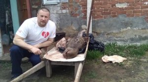 Тушенка из лося.