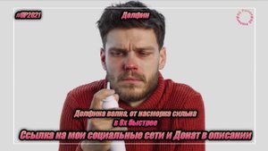 Долфин — «Долфина волна, от насморка сильна» в 8х быстрее | PRO Рекламу