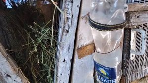 Что делать крольчиха давит крольчат.