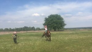 Тренировка на лошади в поле, прыжки на лошади, конкур, езда галопом без рук, Диана первые прыжки