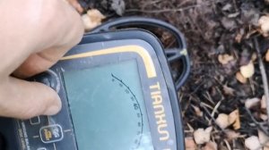 Осенний коп с металлоискателем TX 850,в делянке и на поле!
