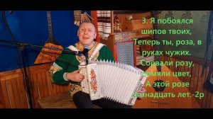 Я встретил розу II Караоке под гармонь II Душевная песня