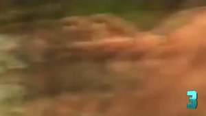 5 СЛУЧАЕВ ЖЕСТИ НА ОХОТЕ, СНЯТЫХ НА ВИДЕО / Жуткие и Страшные Моменты, Снятые на Охоте на Камеру
