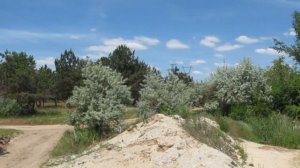 Поездки в Отрадокаменку. Херсонская область, Бериславский район.