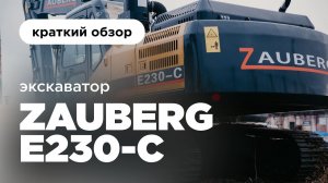 Негабаритный гусеничный экскаватор I Экскаватор Zauberg E230-C | Краткий обзор