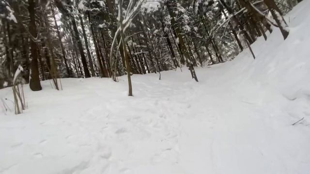 Трюки на самокате ДЛЯ СНЕГА/сноускут смотреть онлайн