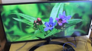 КУПИЛ 21:9 МОНИТОР 34' |ВСЯ ПРАВДА! LG 34UM59-P