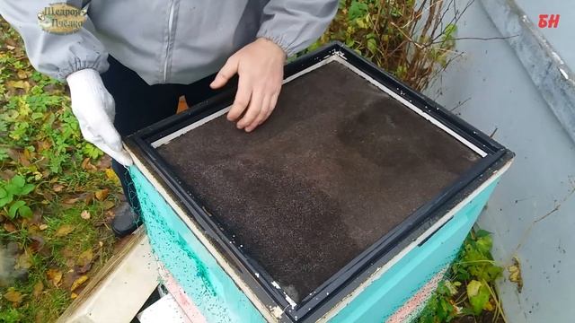 пчеловодство, октябрь, правильная вентиляция - хорошая зимовка (записки новичка) смотреть онлайн