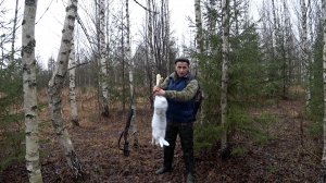 Вот это ЗАЙЧИЩЕ! Охота на зайца с подхода. Шикарный трофей!