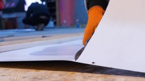 Кто быстрее ПРОЙДЕТ ЗЕРКАЛЬНЫЙ ЛАБИРИНТ: ЕНОТ, КОТ или ТАКСА?