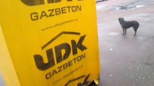 Как визуально определить плотность газоблока