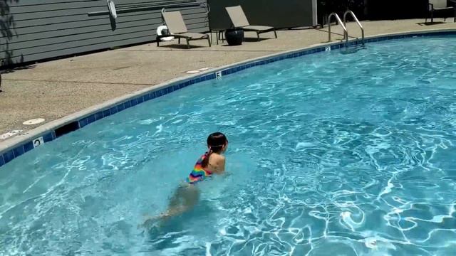 США. ПОЗВОНИЛИ В СЛУЖБУ СПАСЕНИЯ ЖИВОТНЫХ. смотреть онлайн