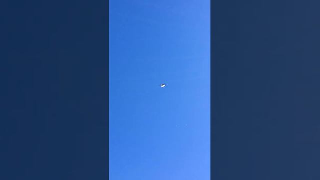 Николаевские голуби Княжой Луки 14.02.21 смотреть онлайн