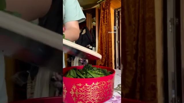 Готовим зеленый борщ ?