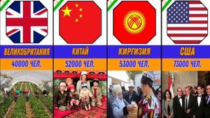 В каких странах больше всего живут этноси таджики  #таджики #таджикистан #сравнение #история #иран