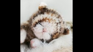 Оформление мордочки. МК "Спящий котенок".