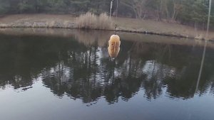 просто рыбалка