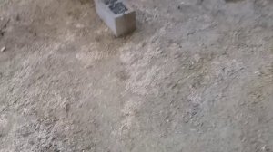 дом ? арболит. вопрос знатокам.