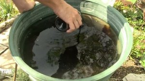 Уникальная подкормка плодовых деревьев на основе Биогумуса