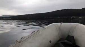 Прогулка по Енисею. Обкатка Нептун 23 на лодке Brig 350.