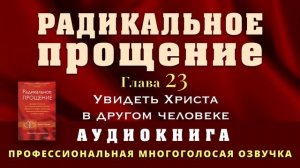 Аудиокнига Радикальное Прощение. Глава 23. Увидеть Христа в другом человеке