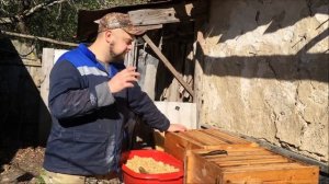 Рабочий способ защиты рамки суши зимой от мышей и моли. Селекция рамок. Уксус в пчеловодстве.