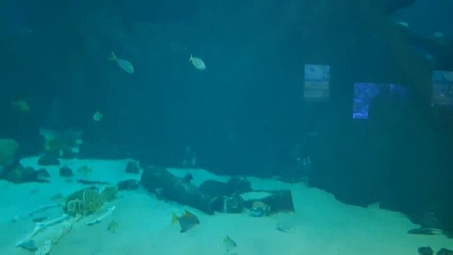 Обзор карты Skull Creek Brawl Stars RU Amino