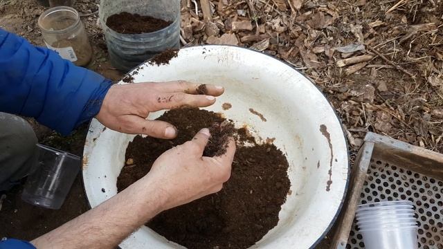 КАК СДЕЛАТЬ ГРУНТ ДЛЯ РАССАДЫ СВОИМИ РУКАМИ. Как приготовить землю для рассады почву своими руками смотреть онлайн