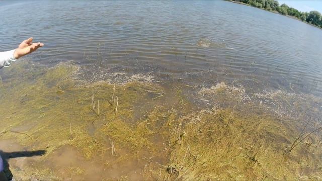 ПЕРВАЯ РЫБАЛКА НА ЗАКИДУШКИ В 2022 ГОДУ. Ловля судака на резинку. Рыбалка на велосипедах. смотреть онлайн