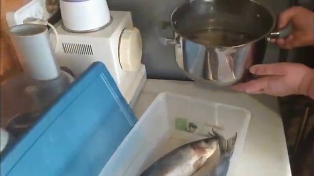КАК ЗАСОЛИТЬ СЕЛЕДКУ ДОМА.КЛАССИЧЕСКИЙ ВАРИАНТ.