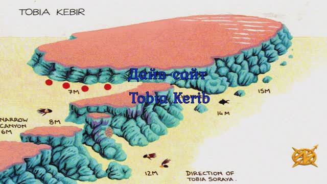 Tobia Kerib