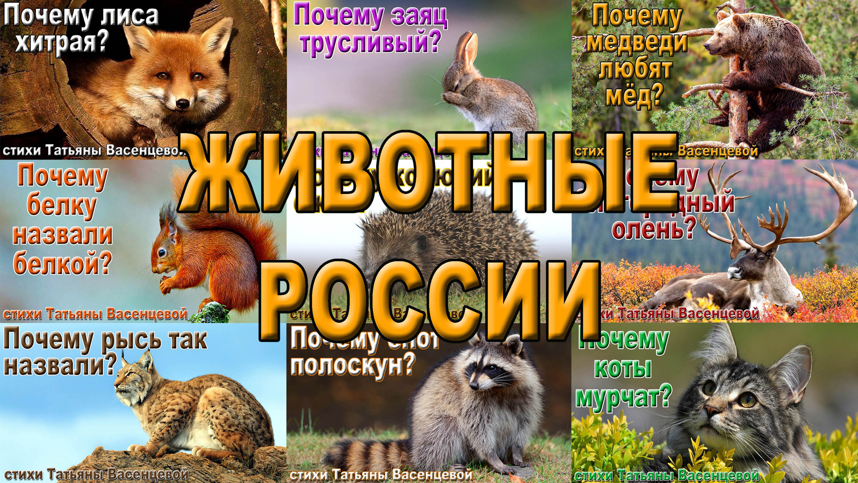 Животные России», сборник - описание и интересные факты из жизни животных России.