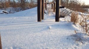 Рыбалка в декабре.Пытаюсь поймать карасей на озере зимой)