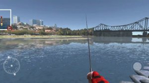 как сварить щуку?