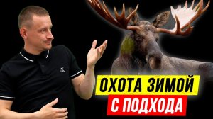 Лось с подхода зимой | Охота на ЛОСЯ ?