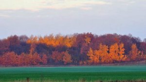 Васильковое платье.  Автор клипа и муз. Исп. Алексей Берев