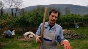 Использование вермичая при посадке томатов