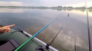 Бешенный Клёв Линя! Прикормка Работает на Отлично! Что и Требовалось Доказать!