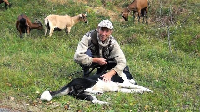 После стрима | Подворье Афанасий Рублёв | Разговоры смотреть онлайн