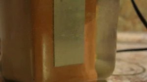 Обзор Активатора Воды АП-1. Живая и мертвая вода. Как сделать?