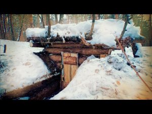 В ЛЕС ПО ГРИБЫ и не только| ДВОЕ СУТОК ЖИВУ В ИЗБУШКЕ!