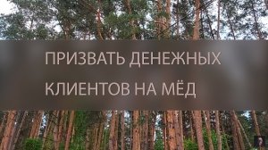 ПРИЗВАТЬ ДЕНЕЖНЫХ КЛИЕНТОВ НА МЁД. ОЧЕНЬ СИЛЬНО. ДЛЯ ВСЕХ ▴ ВЕДЬМИНА ИЗБА. ИНГА ХОСРОЕВА