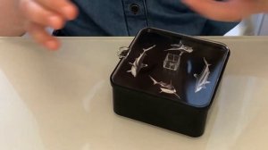 KidzLabs Hologram Projector - Голограмма. Голограф. Голографический проектор.