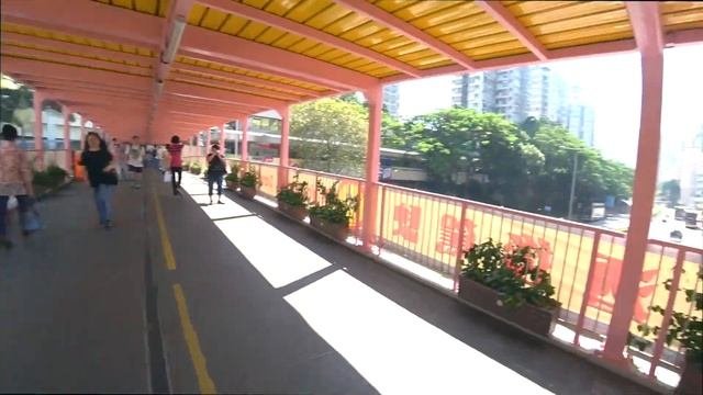 ГОНГ КОНГ HONGKONG Два дня не зря! Ocean Park & Silka Hotel